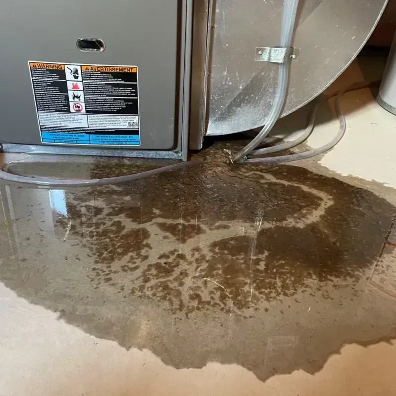 Appliance Leak Cleanup in City of Petersburg, VA